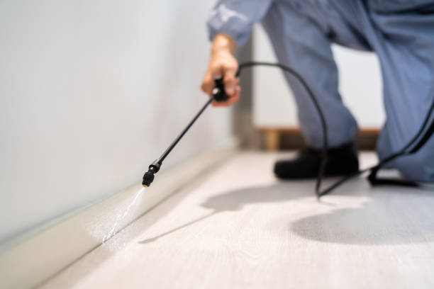 Licensed Pest Control service in Clinton, NC - Show Me Pest Control