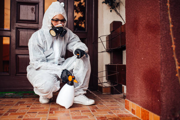Attic and Crawl Space Rodent Treatment in Clinton