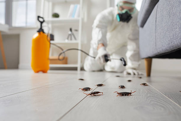 Commercial Rodent Management in Clinton